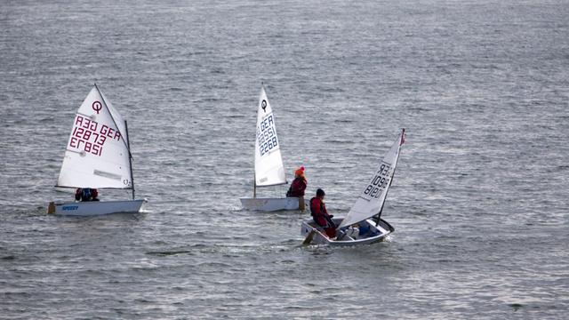 Junge Segler beim Training auf dem Schweriner See in Booten der Optimisten-Klasse