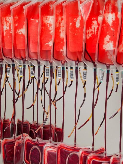 Blutkonserven von Spenderblut im Blutlabor