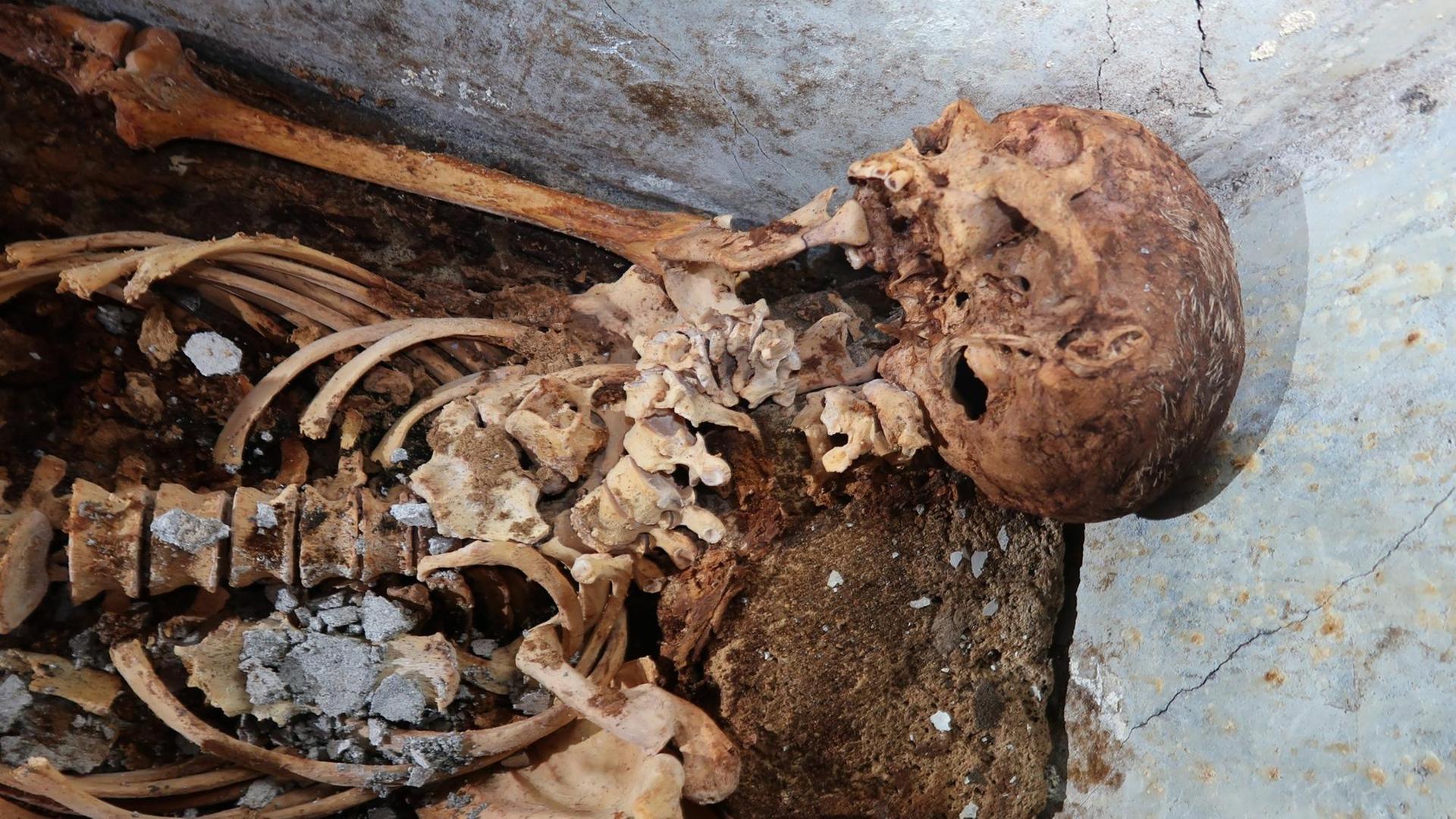 Das Skelett aus Pompeji 