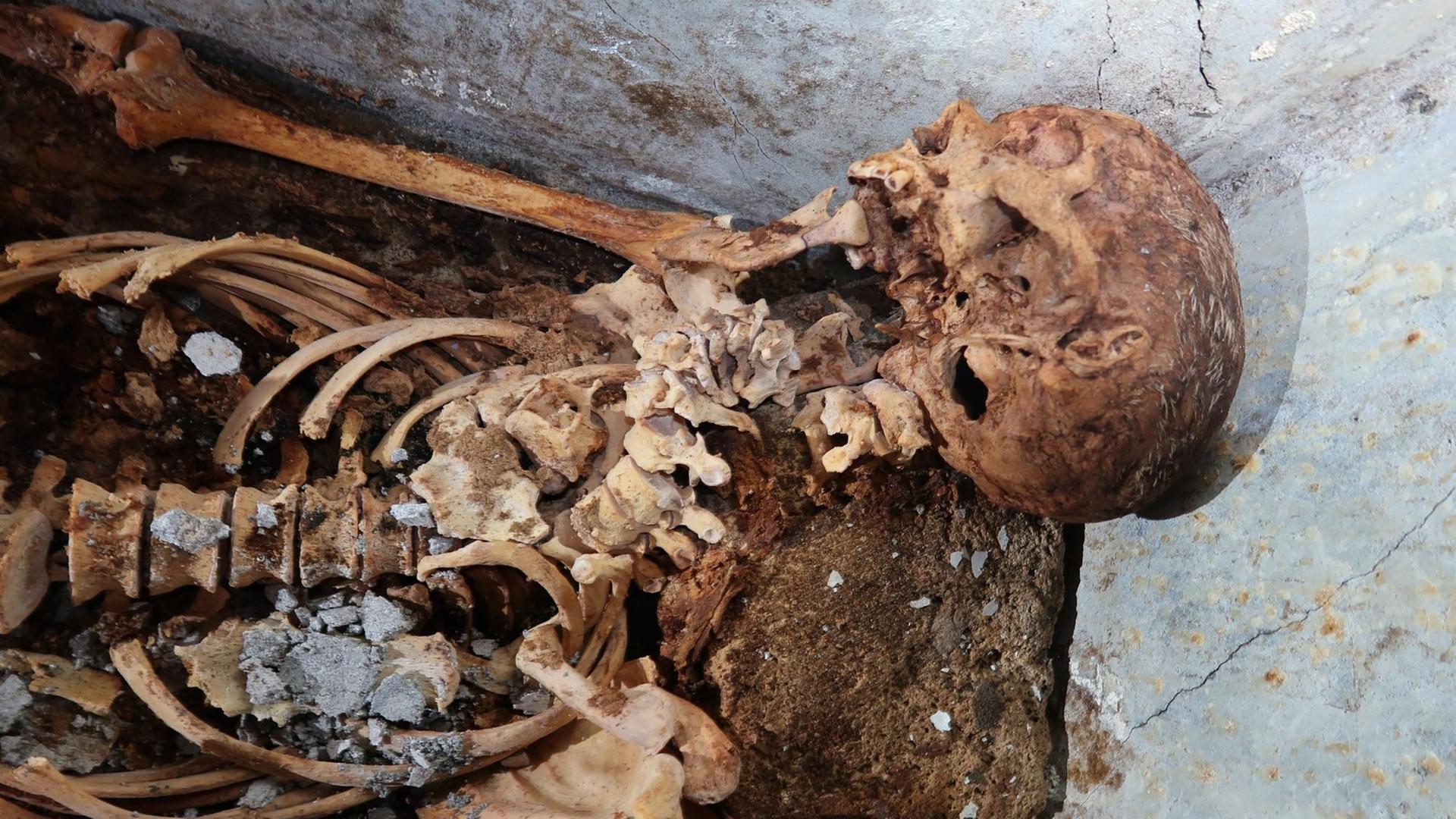 Das Skelett aus Pompeji Das Skelett aus Pompeji