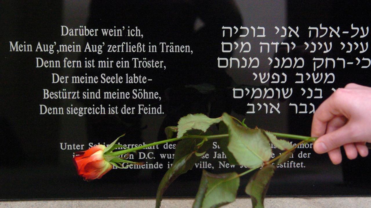 In der Gedenkstätte für die Euthanasie-Opfer in Bernburg wird eine Rose auf eine Gedenktafel gelegt. Ein Teil der psychiatrischen Landes-Heil- und Pflegeanstalt war in der Nazi-Zeit eine der sechs «Euthanasie»-Anstalten. Darin wurden kranke und behinderte Menschen sowie Häftlinge aus sechs Konzentrationslagern durch Gas ermordet. Foto: Peter Förster +++(c) dpa - Report+++ In der Gedenkstätte für die Euthanasie-Opfer in Bernburg wird eine Rose auf eine Gedenktafel gelegt. Ein Teil der psychiatrischen Landes-Heil- und Pflegeanstalt war in der Nazi-Zeit eine der sechs «Euthanasie»-Anstalten. Darin wurden kranke und behinderte Menschen sowie Häftlinge aus sechs Konzentrationslagern durch Gas ermordet. Foto: Peter Förster +++(c) dpa - Report+++