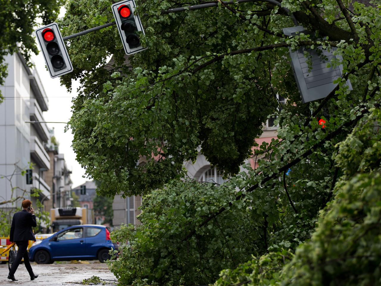 Eine verbogene Ampelanlage ist am 10.06.2014 neben umgeknickten Bäumen im Hofgarten in Düsseldorf (Nordrhein-Westfalen) zu sehen. Orkanböen, Starkregen und heftige Blitze: Wie eine Walze zog eine Gewitterfront über Nordrhein-Westfalen am 09.06.2014 hinweg. Eine verbogene Ampelanlage ist am 10.06.2014 neben umgeknickten Bäumen im Hofgarten in Düsseldorf (Nordrhein-Westfalen) zu sehen. Orkanböen, Starkregen und heftige Blitze: Wie eine Walze zog eine Gewitterfront über Nordrhein-Westfalen am 09.06.2014 hinweg.