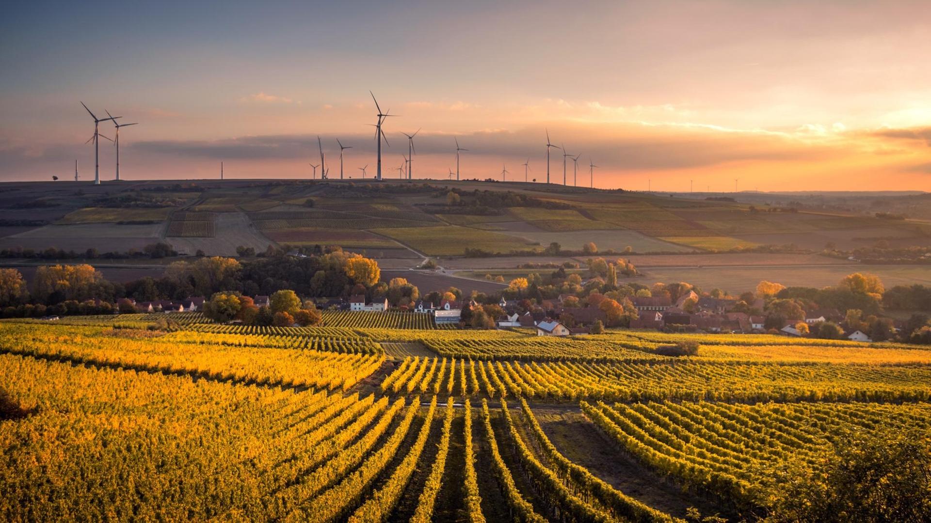 Landschaftsaufnahme von Wiesen und Feldern und Windrädern im Raum Mölsheim. Landschaftsaufnahme von Wiesen und Feldern und Windrädern im Raum Mölsheim.