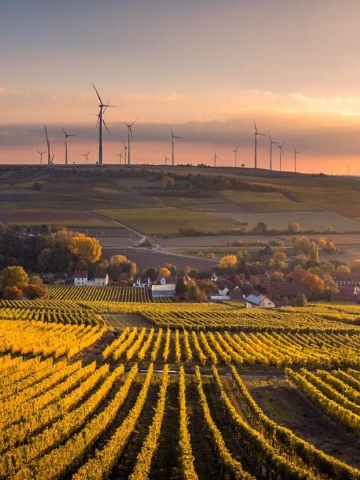 Landschaftsaufnahme von Wiesen und Feldern und Windrädern im Raum Mölsheim.