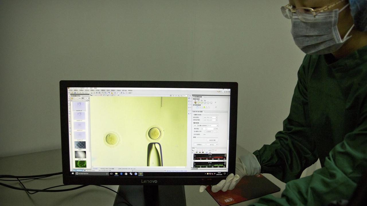 Auf einem Monitor ist das Youtube-Video zu sehen, in dem der chinesische Wissenschaftler He Jiankui die Gene eines Embroys verändert. Auf einem Monitor ist das Youtube-Video zu sehen, in dem der chinesische Wissenschaftler He Jiankui die Gene eines Embroys verändert.
