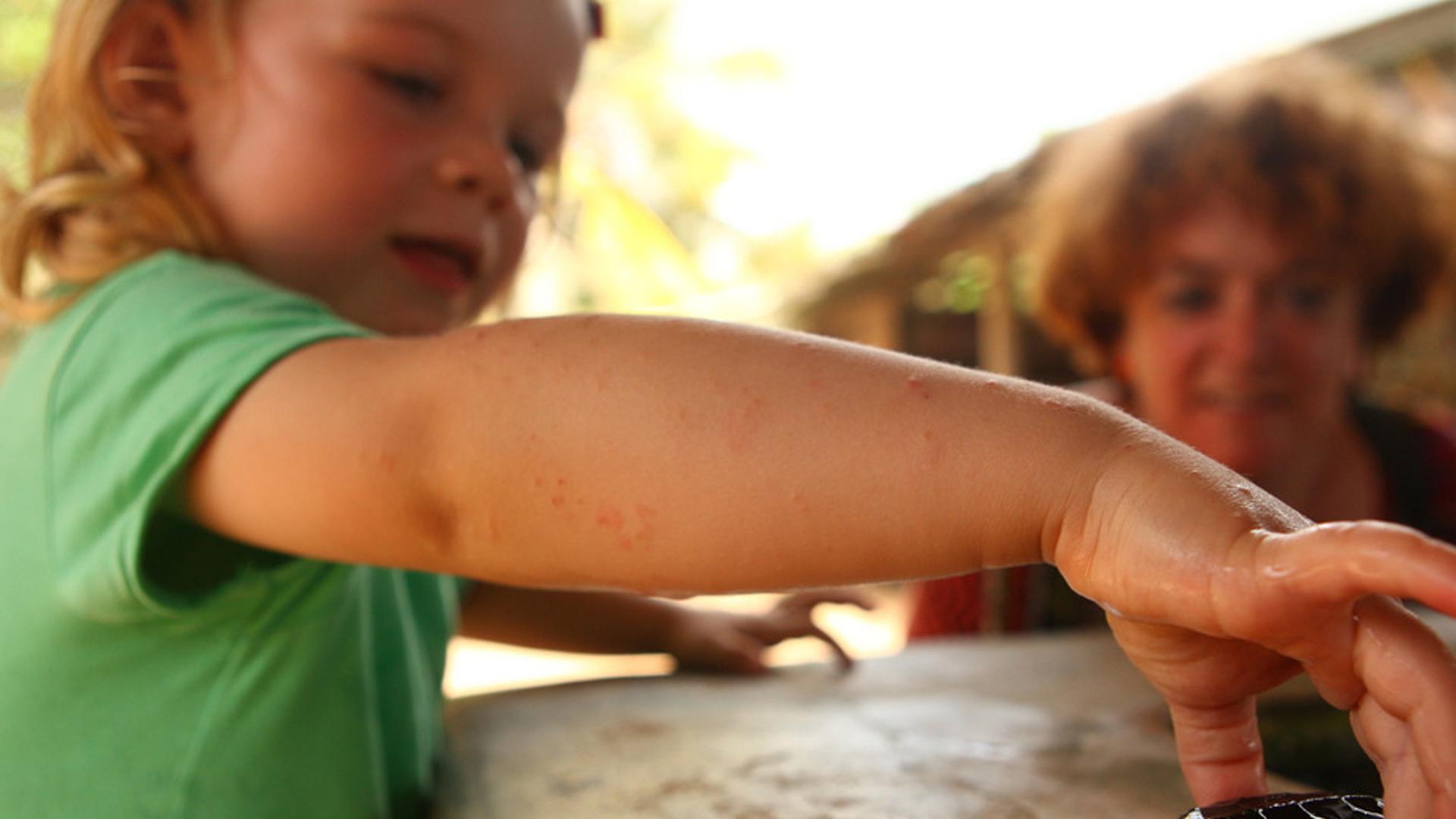 Ein dreijähriges Mädchen hebt eine kleine Schildkröte vorsichtig hoch und setzt sie auf einem Balken ab. Ein dreijähriges Mädchen hebt eine kleine Schildkröte vorsichtig hoch und setzt sie auf einem Balken ab.