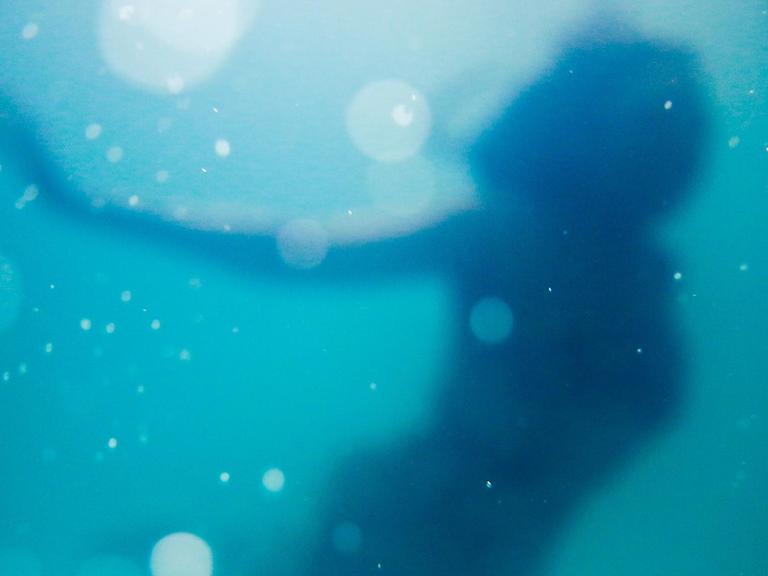 Die Silhouette einer (Meerjung-)Frau unter Wasser.