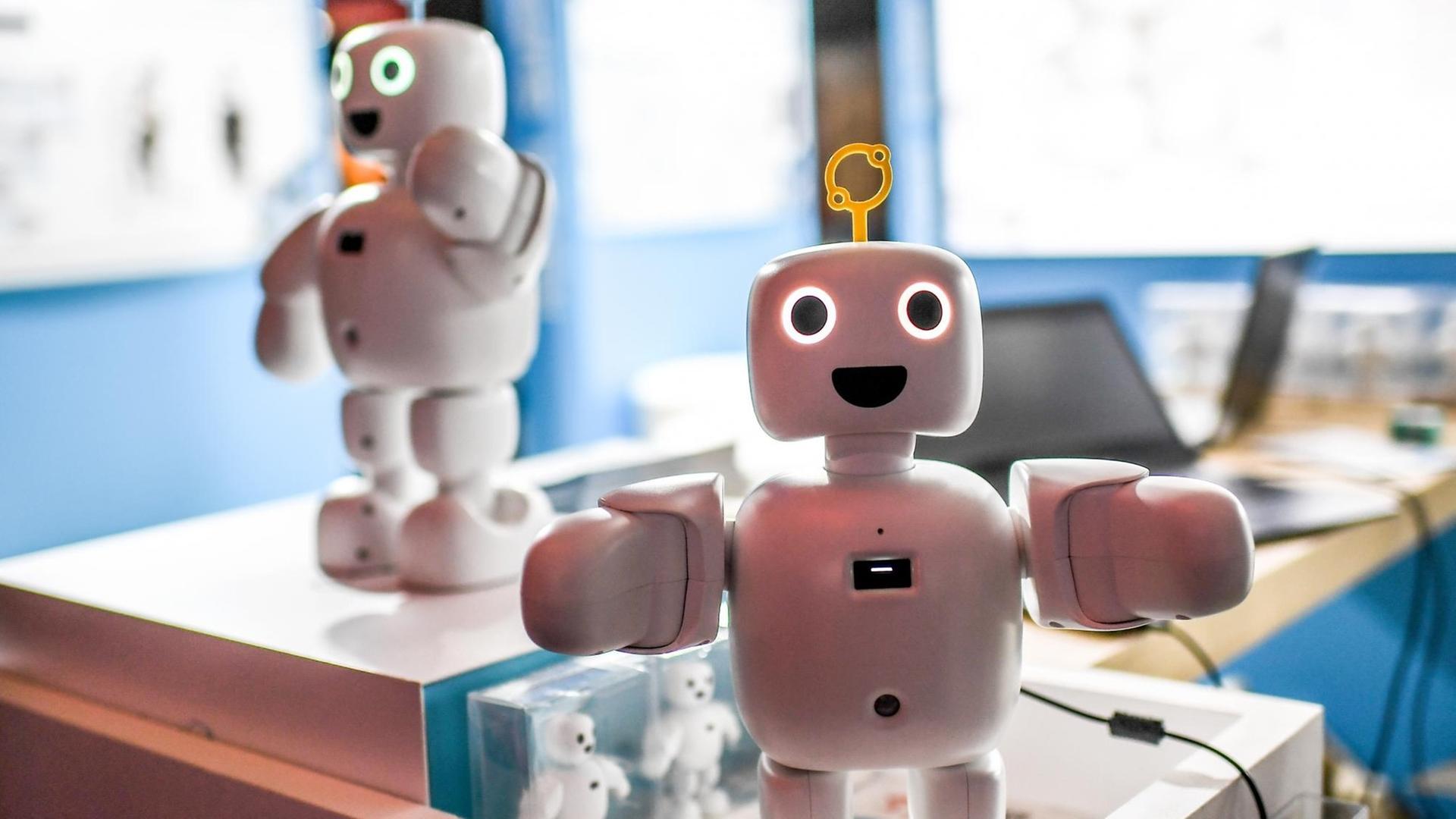 Der Roboter "Pibo" wird auf der Technik-Messe IFA, der weltweit größten Fachmesse für Unterhaltungs- und Gebrauchselektronik vorgestellt. Der Roboter "Pibo" wird auf der Technik-Messe IFA, der weltweit größten Fachmesse für Unterhaltungs- und Gebrauchselektronik vorgestellt.