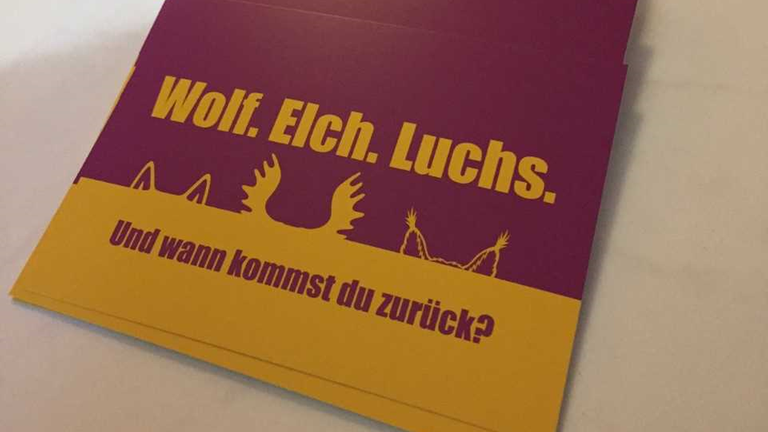 Werbeprospekt mit der Aufschrift "Wolf. Elch. Luchs. Und wann kommst Du zurück", mit dem die sächsischen Kommunen um Rückkehrer aus anderen Teilen Deutschlands werben