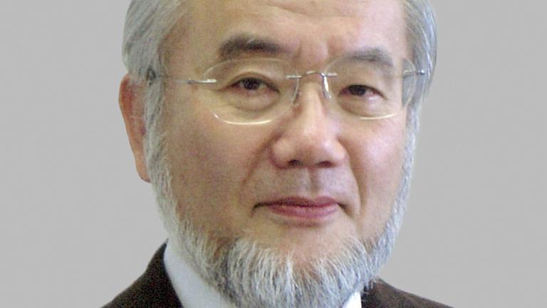 Der japanische Zellforscher Yoshinori Ohsumi. Der japanische Zellforscher Yoshinori Ohsumi.