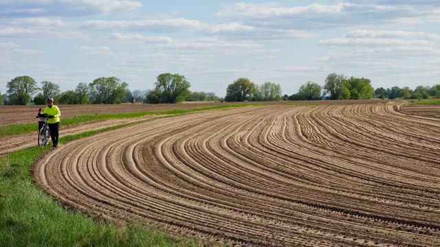 Ein frisch bestelltes Feld mit den Drillfurchen im Ackerboden nahe der Stadt Usedom auf der Insel Usedom (Mecklenburg-Vorpommern).