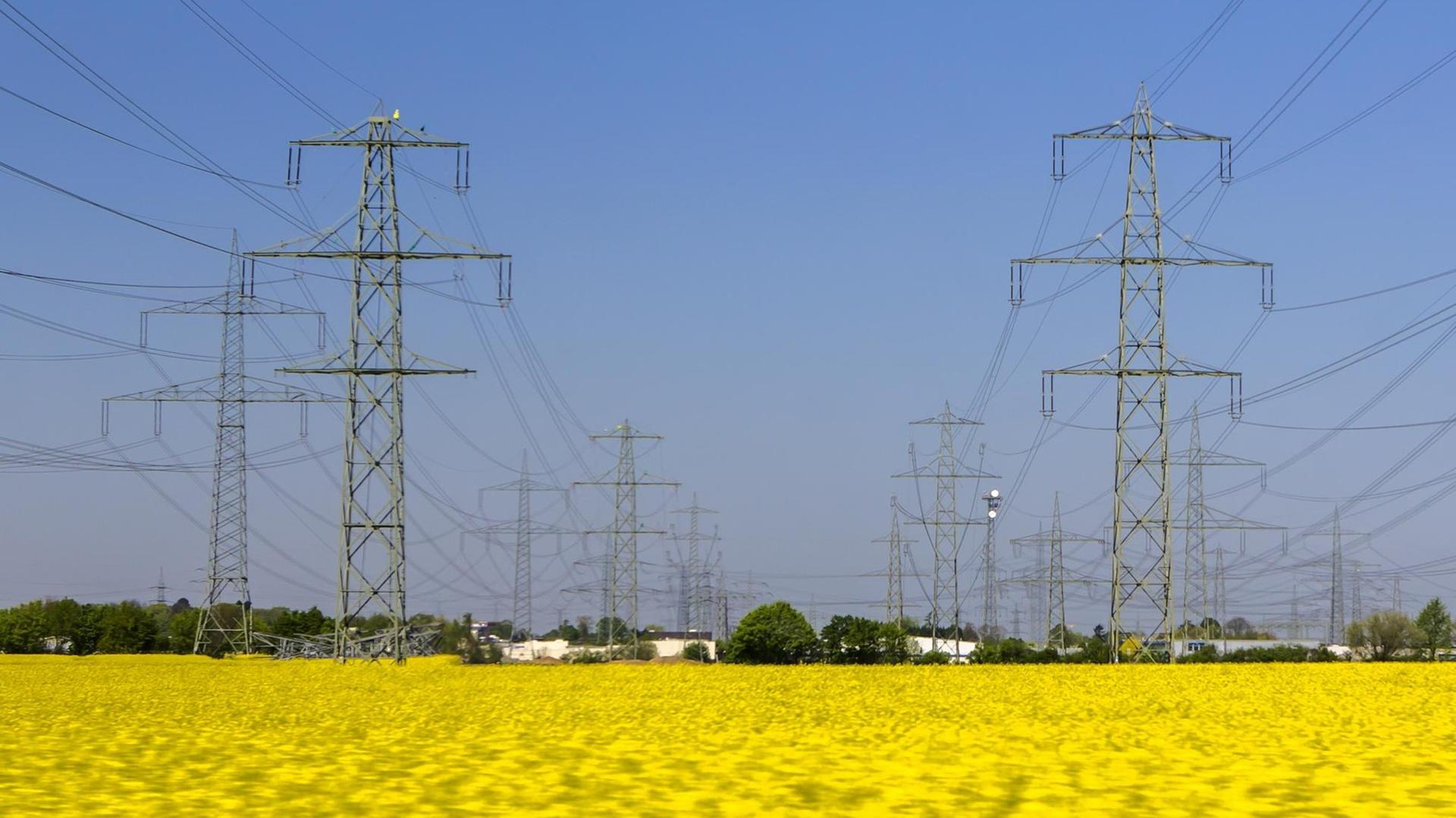 Überlandleitungen der Stromtrasse Ultranet sind in einem Rapsfeld in der Nähe von Pulheim ( Rhein-Erft-Kreis / NRW ) westlich von Köln zu sehen.