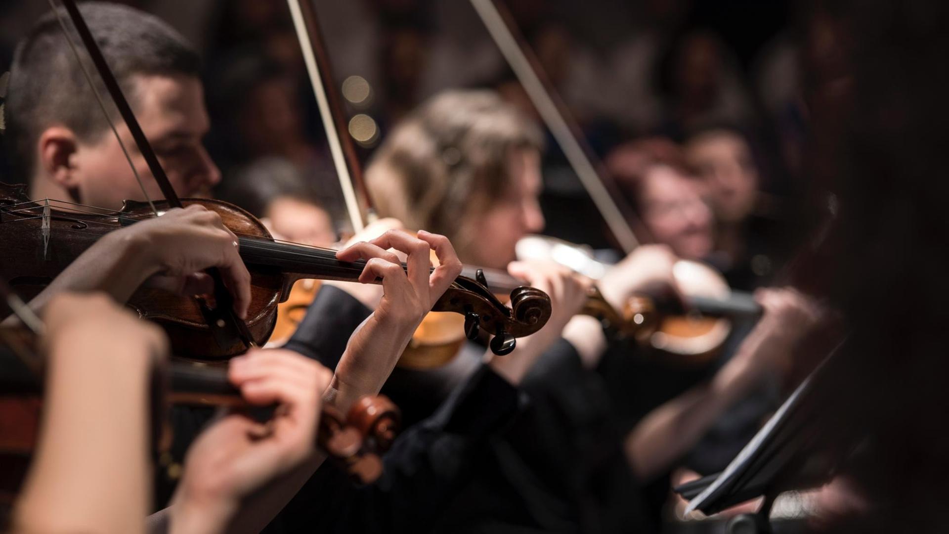 Die Musiker eines Orchesters spielen auf ihren Streichinstrumenten. Die Musiker eines Orchesters spielen auf ihren Streichinstrumenten.