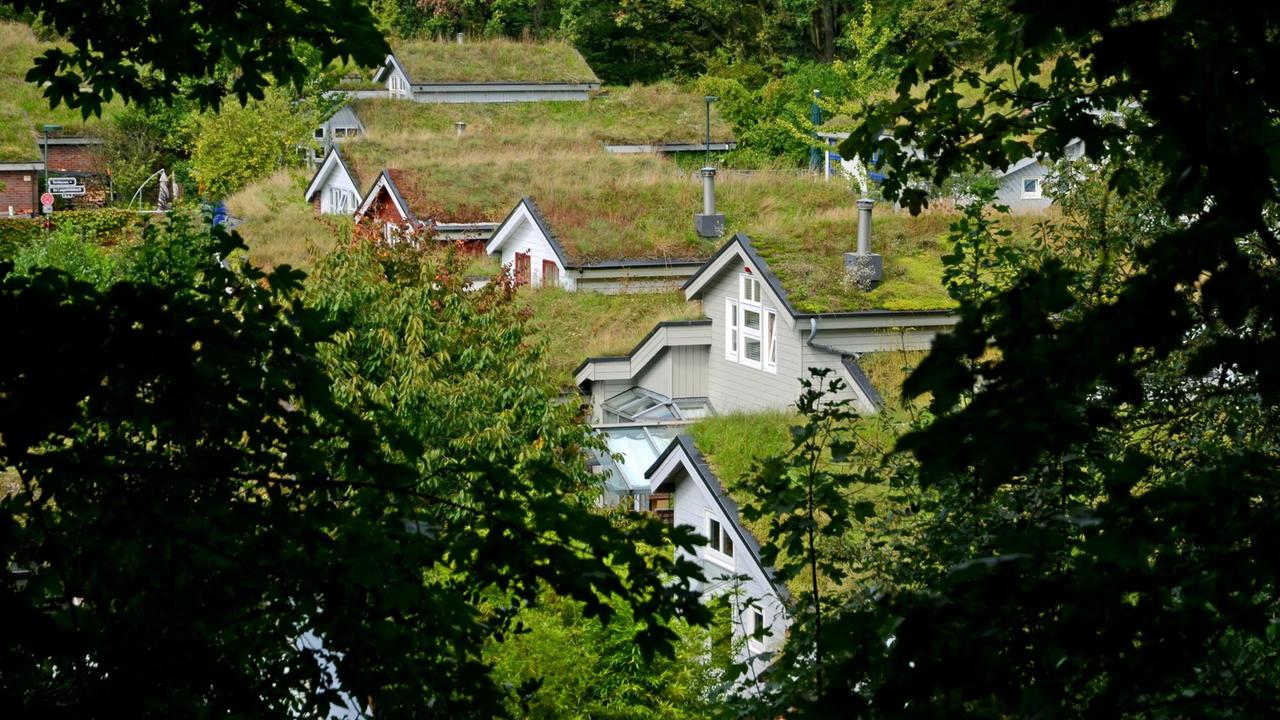 Mehrere Häuser mit komplett begrüntem Dach Mehrere Häuser mit komplett begrüntem Dach