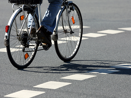 Ein Fahrradfahrer fährt in Münster zwischen den Begrenzungsstreifen eines Radwegs. Ein Fahrradfahrer fährt in Münster zwischen den Begrenzungsstreifen eines Radwegs.