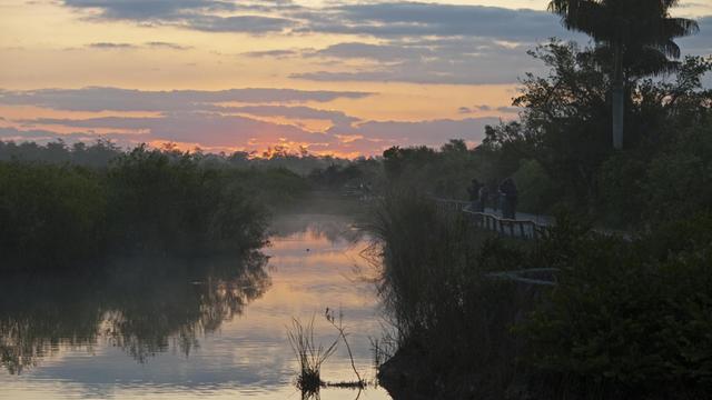 Anhinga Trail in der Morgendämmerung, Everglades, Florida, USA.