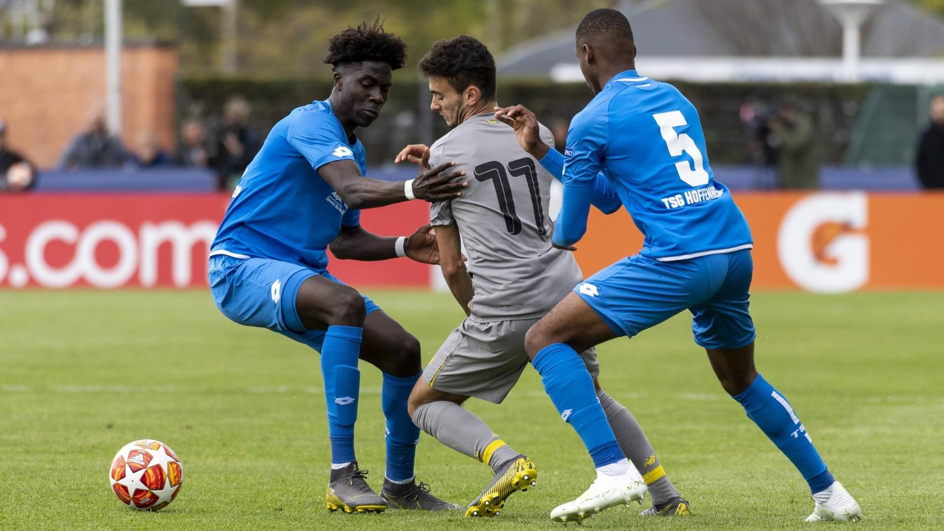 Halbfinale der UEFA Youth League, TSG Hoffenheim gegen FC Porto Halbfinale der UEFA Youth League, TSG Hoffenheim gegen FC Porto