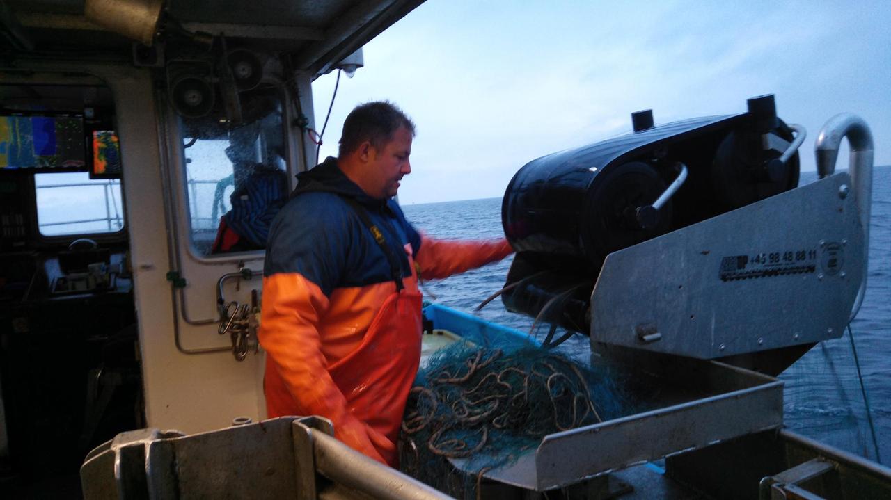 Der Ostseefischer Peter Jöhnk in wasserfester Arbeitskleidung überwacht das Einholen seines Stellnetzes