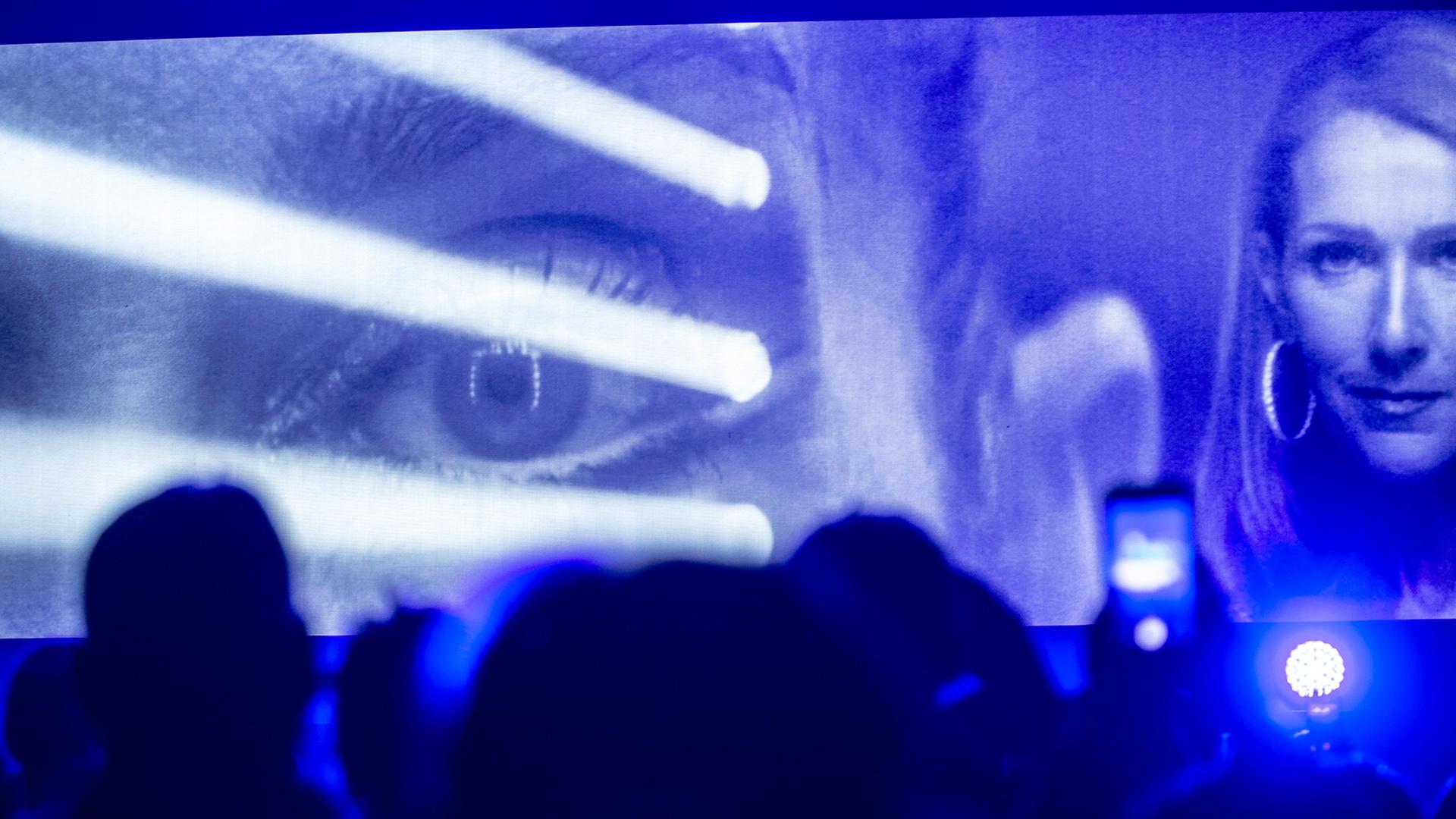 Celine Dion bei einem Konzert in Montreal, Kanada im Jahr 2019. Celine Dion bei einem Konzert in Montreal, Kanada im Jahr 2019.