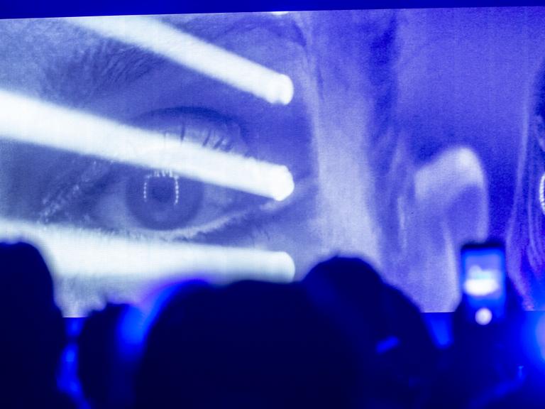 Celine Dion bei einem Konzert in Montreal, Kanada im Jahr 2019.