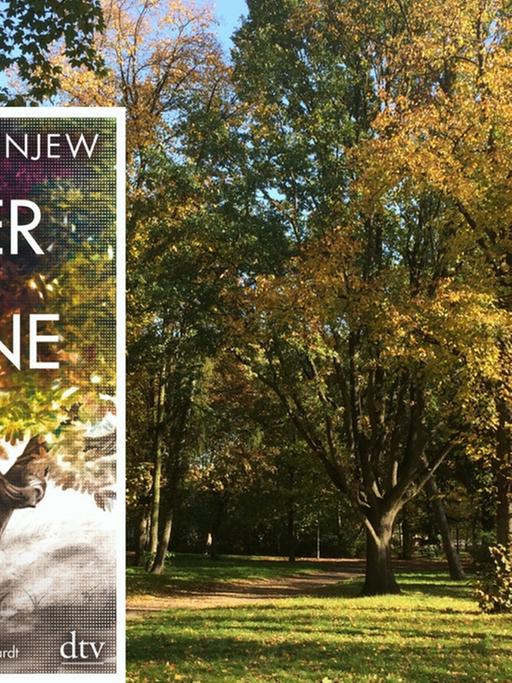 Buchcover Iwan Turgenjew: "Väter und Söhne" - im Hintergrund ein Park mit Bäumen