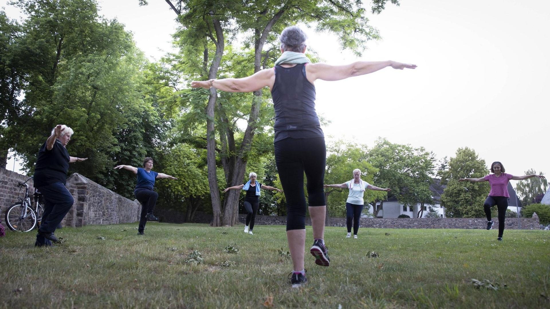 Eine Trainerin leitet im Freien eine Sportgruppe älterer Damen an. Eine Trainerin leitet im Freien eine Sportgruppe älterer Damen an.