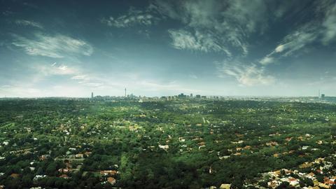 Luftaufnahme der südafrikanischen Stadt Johannesburg, wo sich Wald und Häuser mischen.