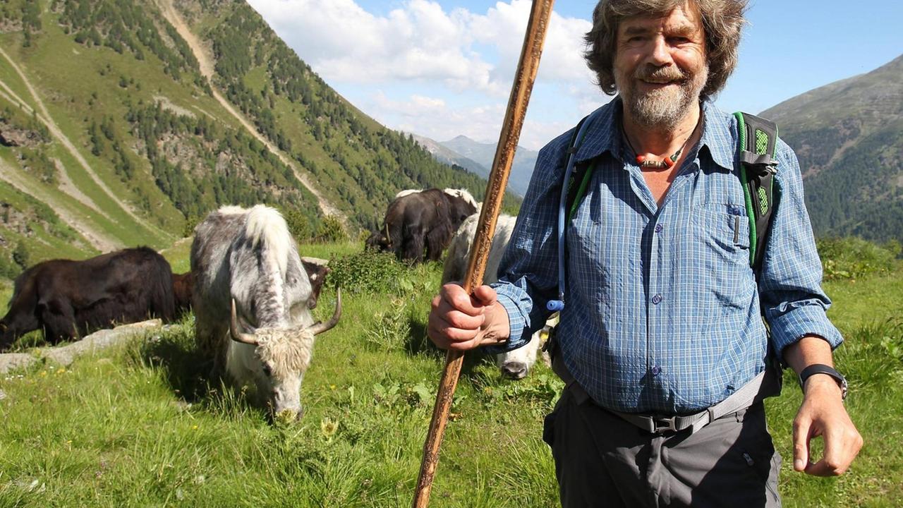 Reinhold Messner treibt die Yaks auf 3000 m Höhe, wo sie den Sommer verbringen Reinhold Messner treibt die Yaks auf 3000 m Höhe, wo sie den Sommer verbringen