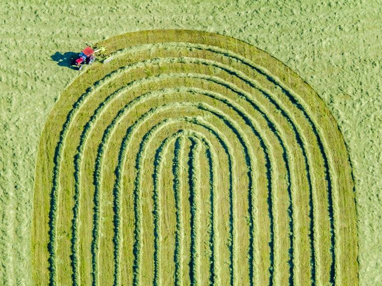 Luftbild von einem roten Traktor, der gerade auf einer gemähten Wiese das Gras zusammenrecht