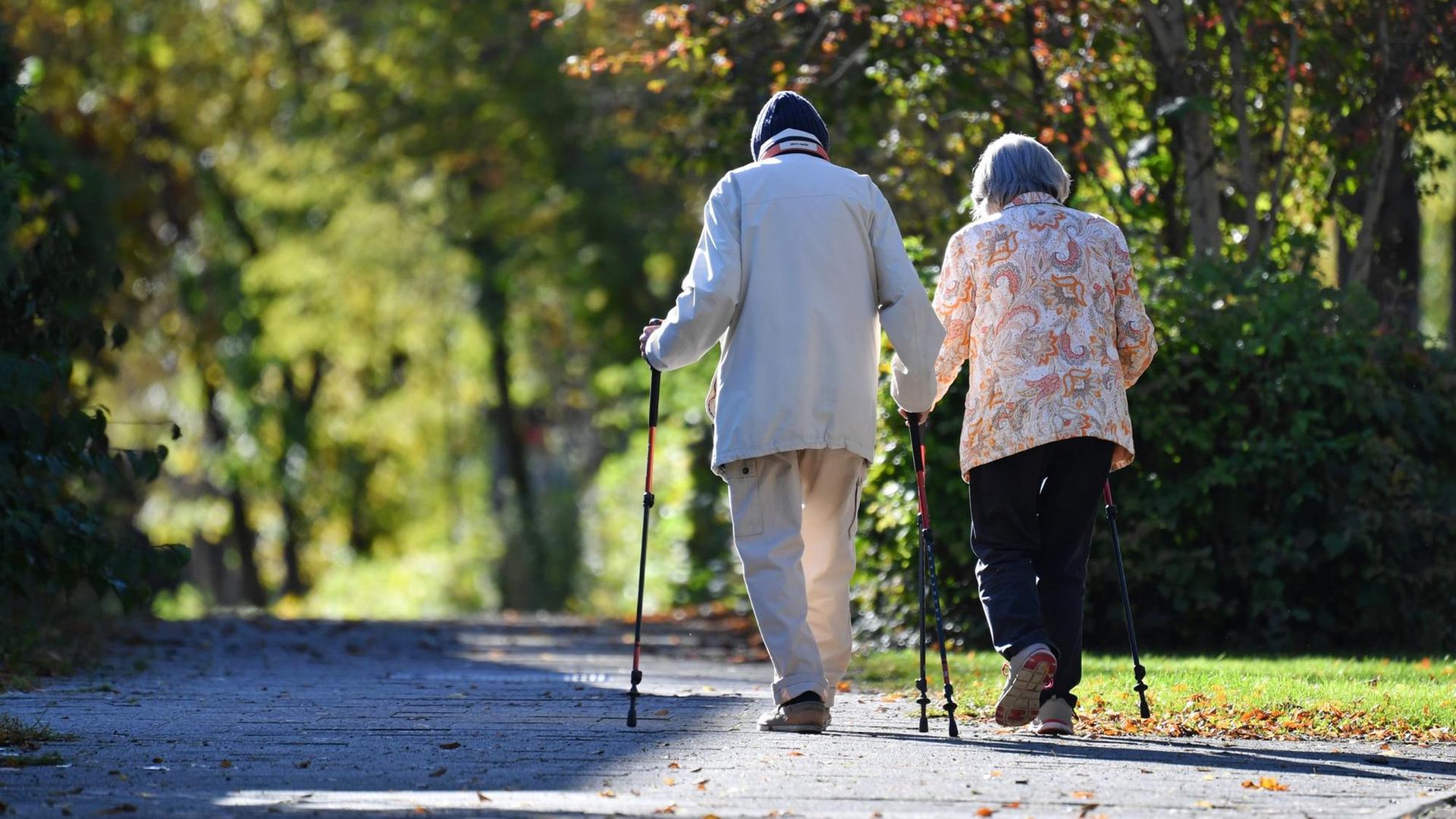 Ein altes Ehepaar beim Nordic Walking.