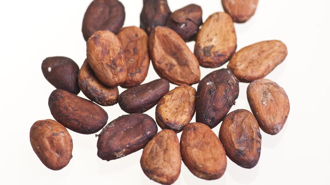 Ungeschälte Kakaobohnen