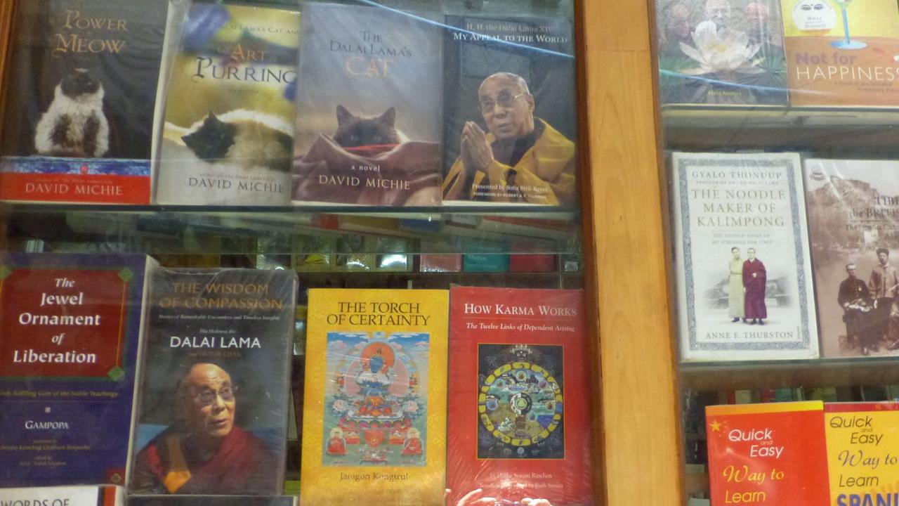 "Little Tibet" in Neu-Delhi: Der Dalai Lama ist in den Schaufenstern von Majnuka-Tilla allgegenwärtig.
"Little Tibet" in Neu-Delhi: Der Dalai Lama ist in den Schaufenstern von Majnuka-Tilla allgegenwärtig.