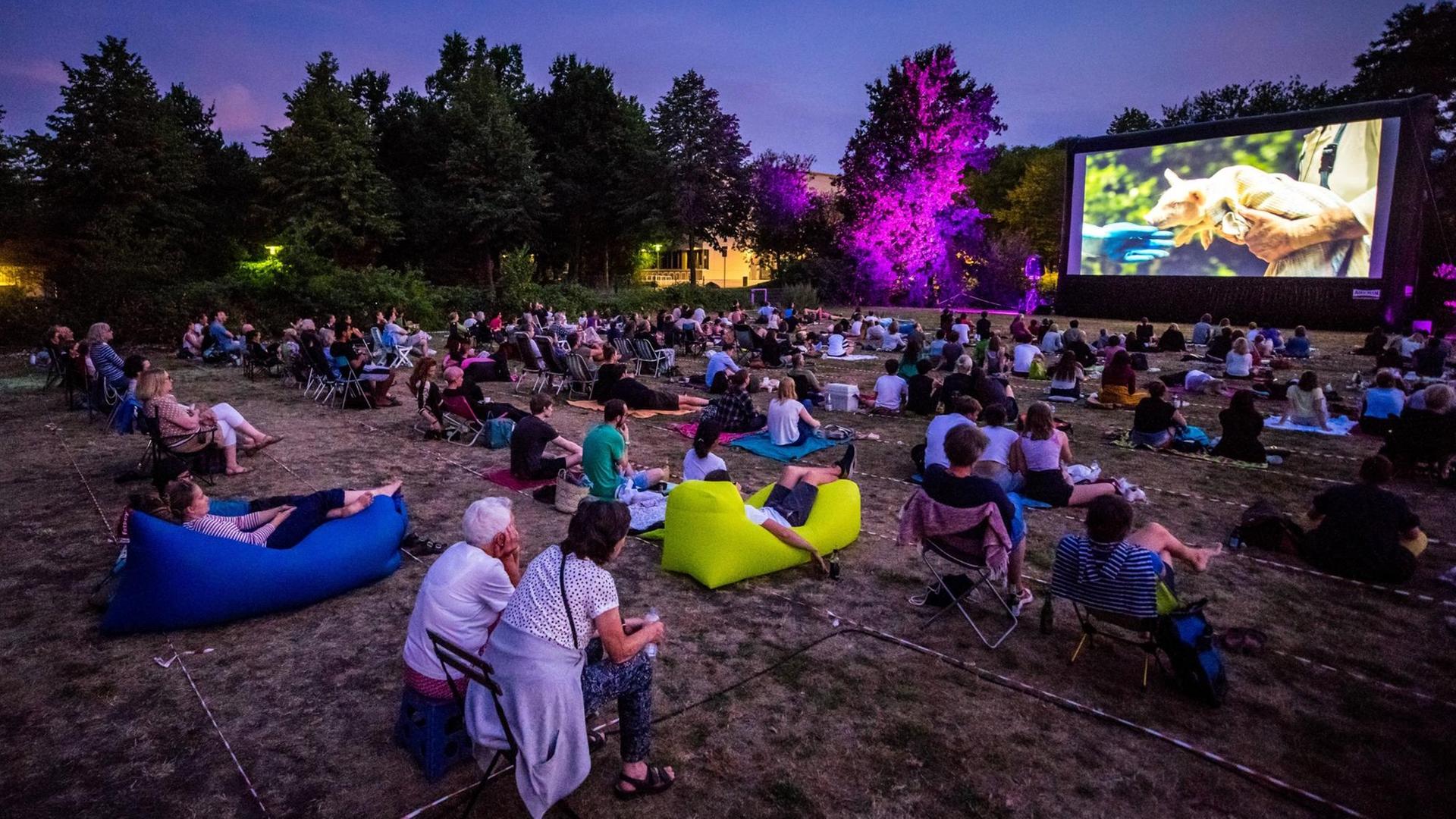 Ein Freilichtkino in Hamburg in Corona-Zeiten. Die Besucher sitzen mit Abstand auf einer Wiese mit Stühlen und Decken vor einer großen Filmleinwand. Ein Freilichtkino in Hamburg in Corona-Zeiten. Die Besucher sitzen mit Abstand auf einer Wiese mit Stühlen und Decken vor einer großen Filmleinwand.