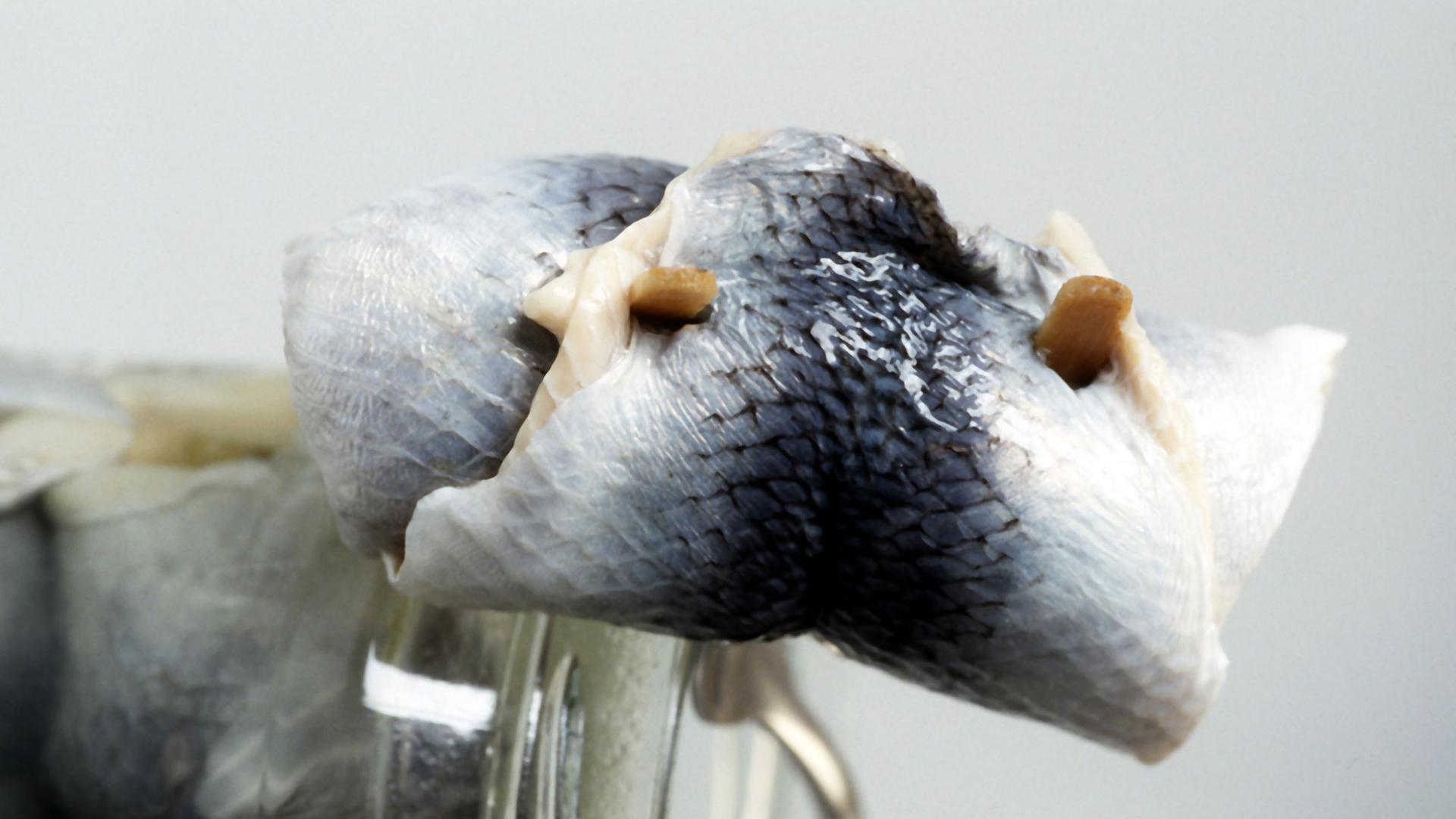Rollmops Rollmops