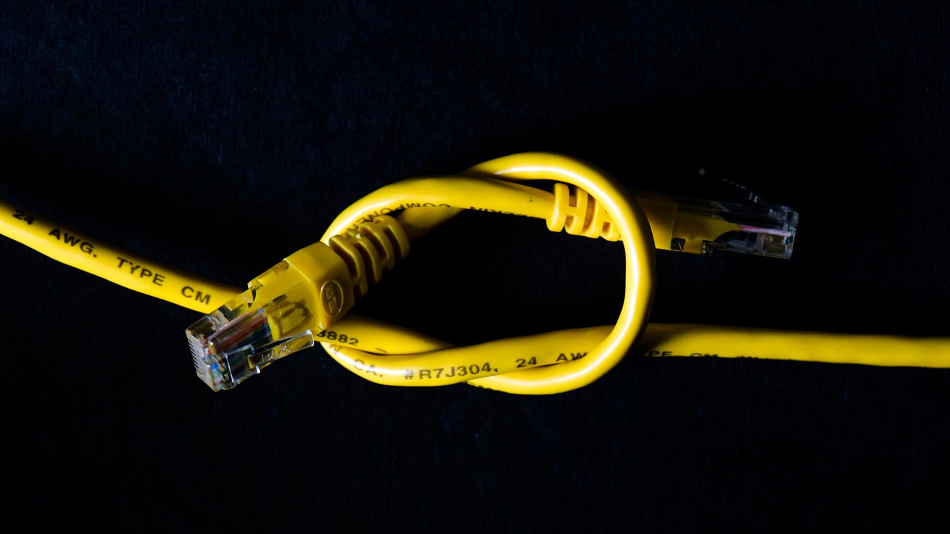 Zwei LAN-Kabel sind durch einen Knoten verbunden. Zwei LAN-Kabel sind durch einen Knoten verbunden.