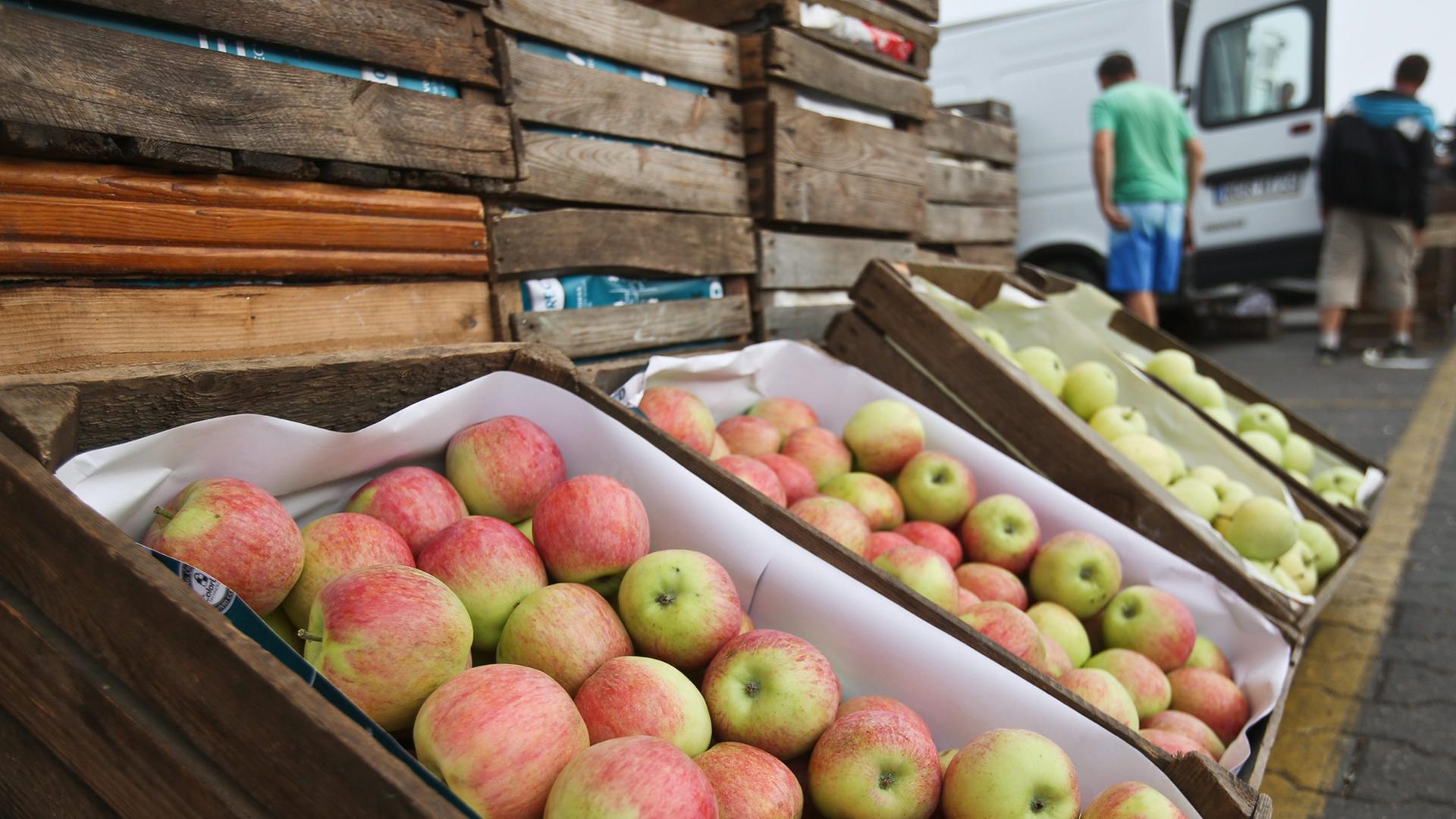 Ein Apfel-Stand Ein Apfel-Stand