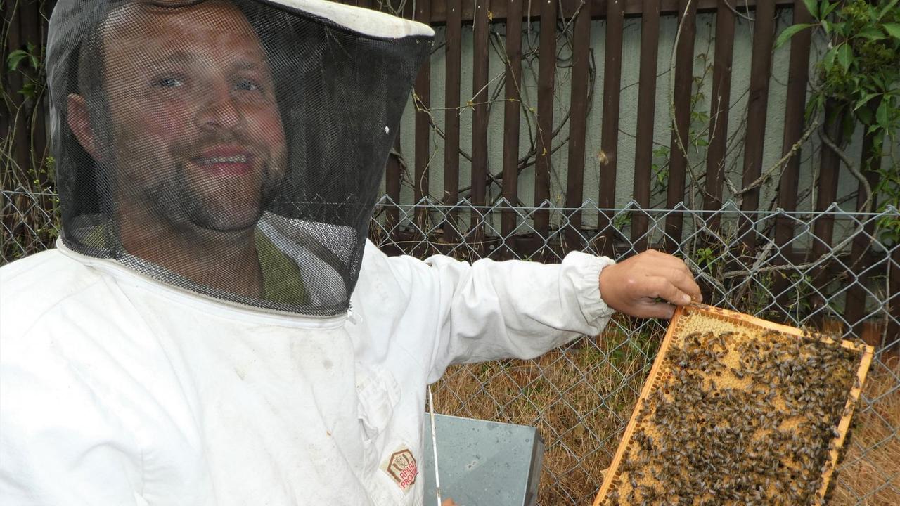 Martin Perschke mit weißer Schutzhülle und Bienenwabe Martin Perschke mit weißer Schutzhülle und Bienenwabe