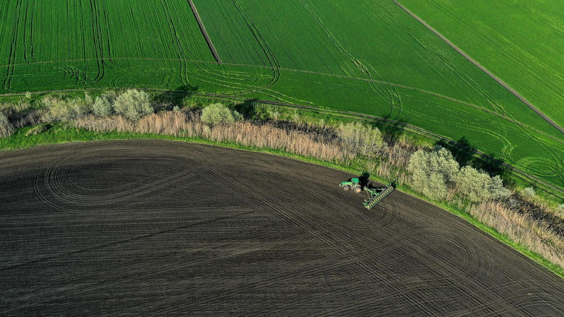 6531018 28.04.2021 An aerial view shows sugar beet sowing underway in fields of the Krasnodar region, in Russia. Vitaly Timkiv / Sputnik 6531018 28.04.2021 An aerial view shows sugar beet sowing underway in fields of the Krasnodar region, in Russia. Vitaly Timkiv / Sputnik