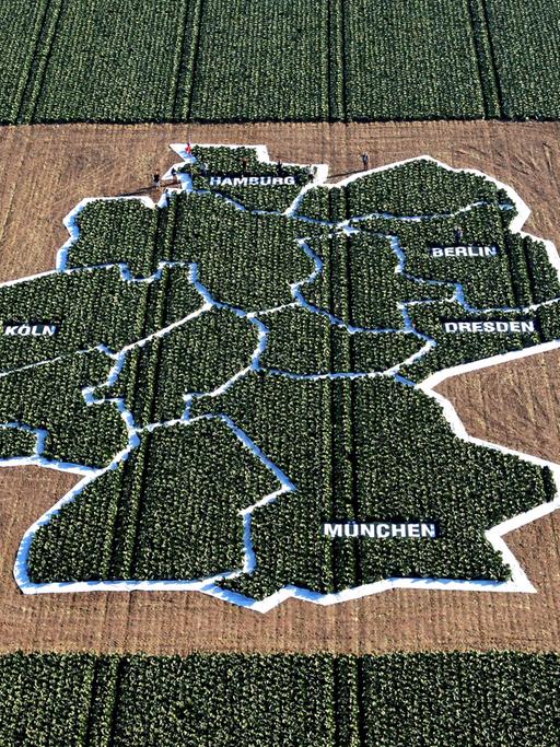 Eine Deutschlandkarte ist auf einem Kohlfeld abgebildet.