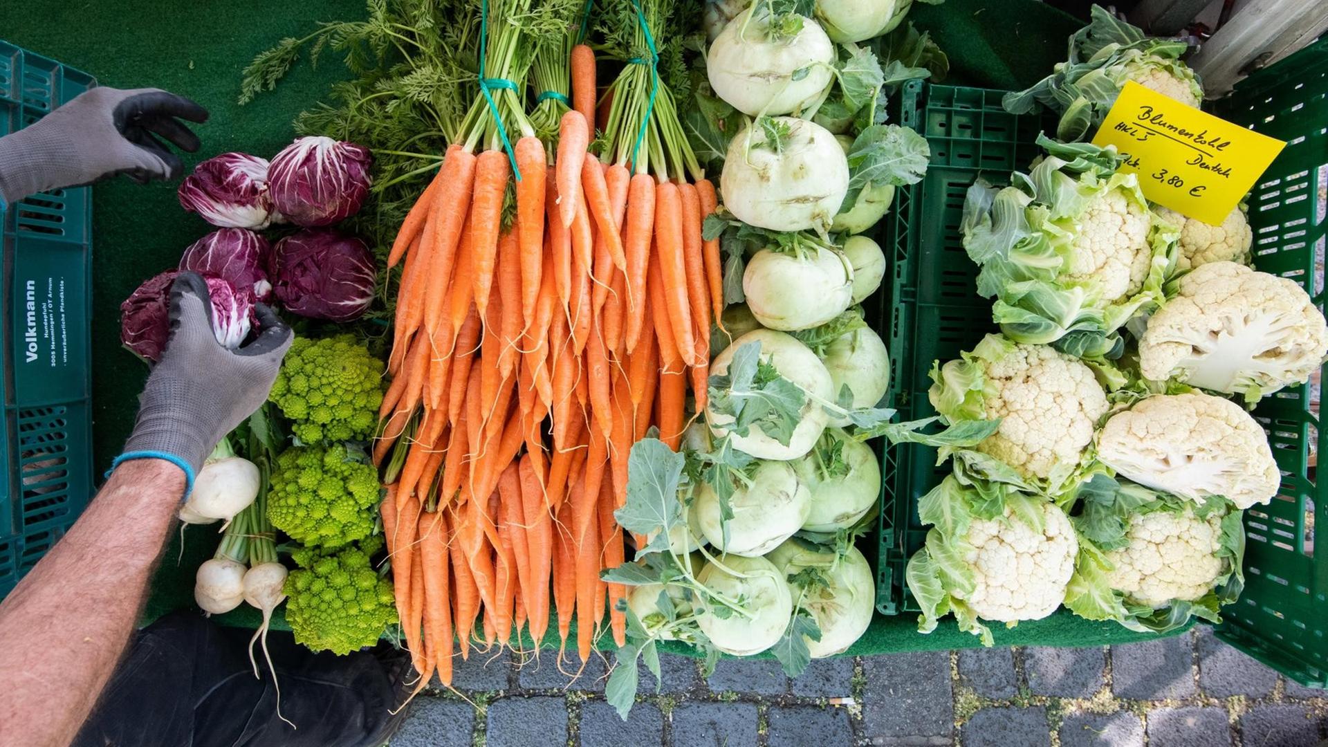 Frisches Gemüse: Möhren, Kohlrabi, Blumenkohl Frisches Gemüse: Möhren, Kohlrabi, Blumenkohl