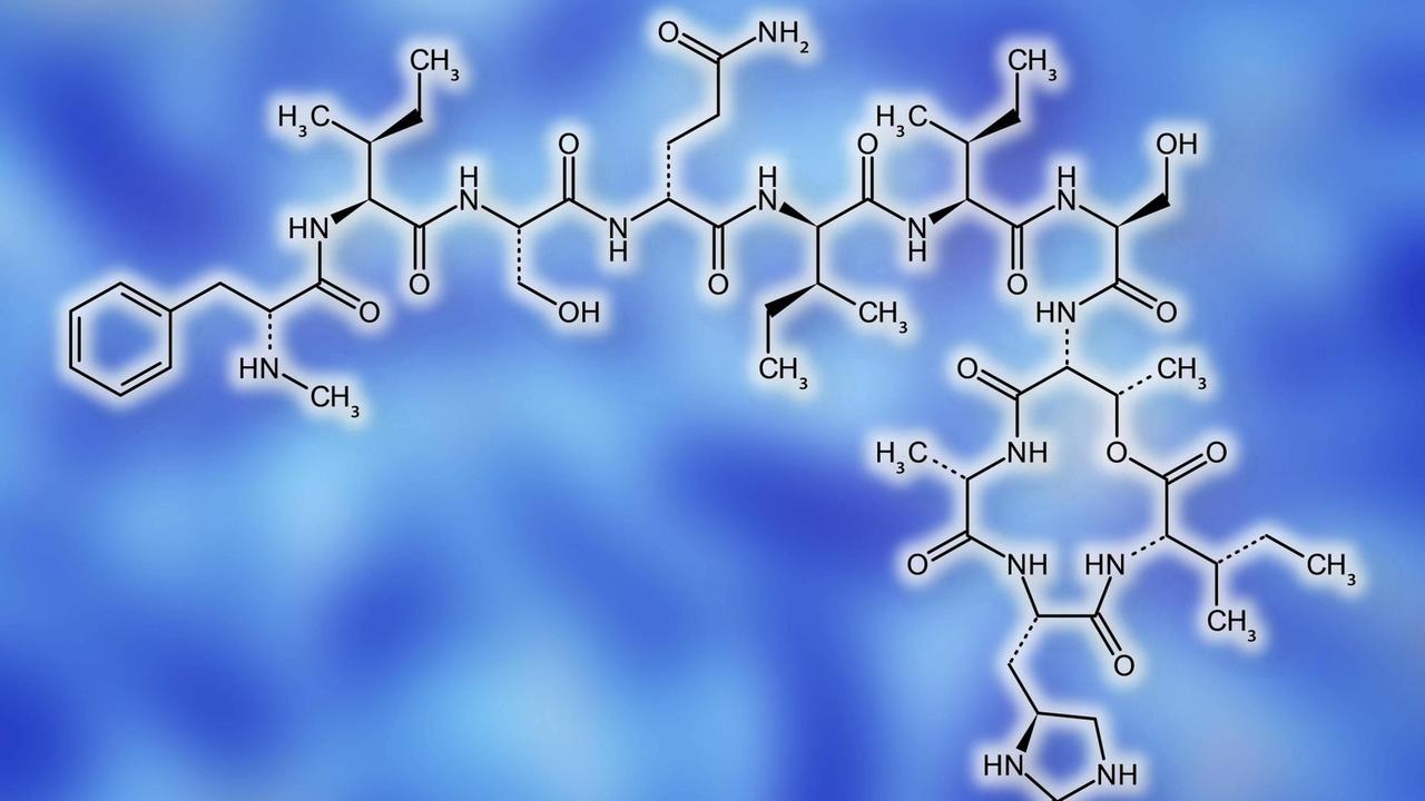 Illustration der chemischen Struktur des Antibiotikums Teixobactin Illustration der chemischen Struktur des Antibiotikums Teixobactin