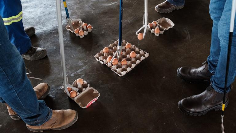 Greifzangen greifen Eier in Kartons
