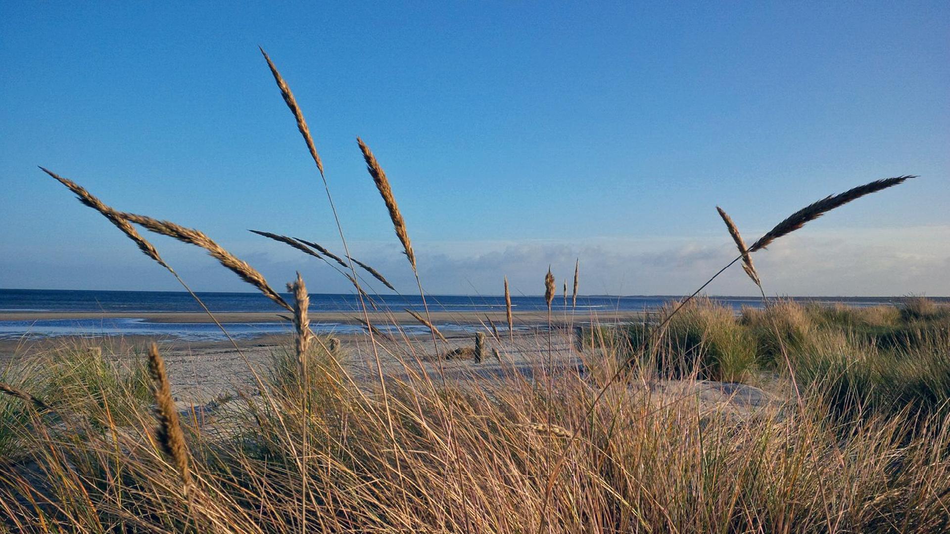 Ein Strand auf der Halbinsel Fischland-Darß-Zingst Ein Strand auf der Halbinsel Fischland-Darß-Zingst