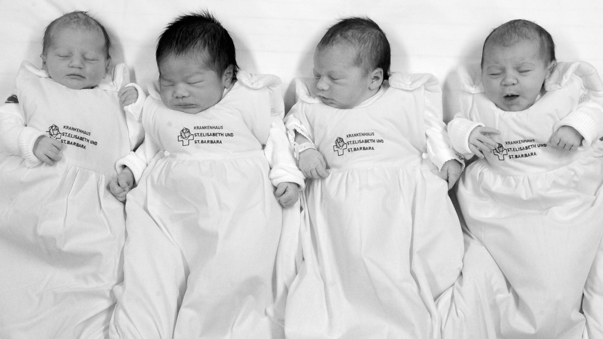 Vier Babys liegen nebeneinander. Vier Babys liegen nebeneinander.