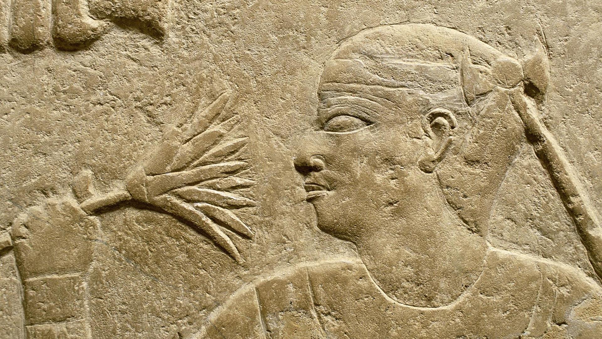 Relief der Mutter des Wesirs Mereruka, die an einer Lotusblüte riecht, in seinem Grabbau (Mastaba), in Saqqara (Mittelaegypten).