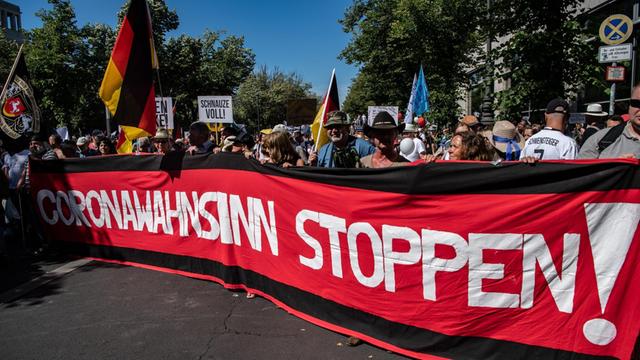 "Coronawahnsinn stoppen" steht auf einem Banner, das Teilnehmer auf der Demonstration gegen die Corona-Beschränkungen auf dem Boulevard Unter den Linden zeigen.