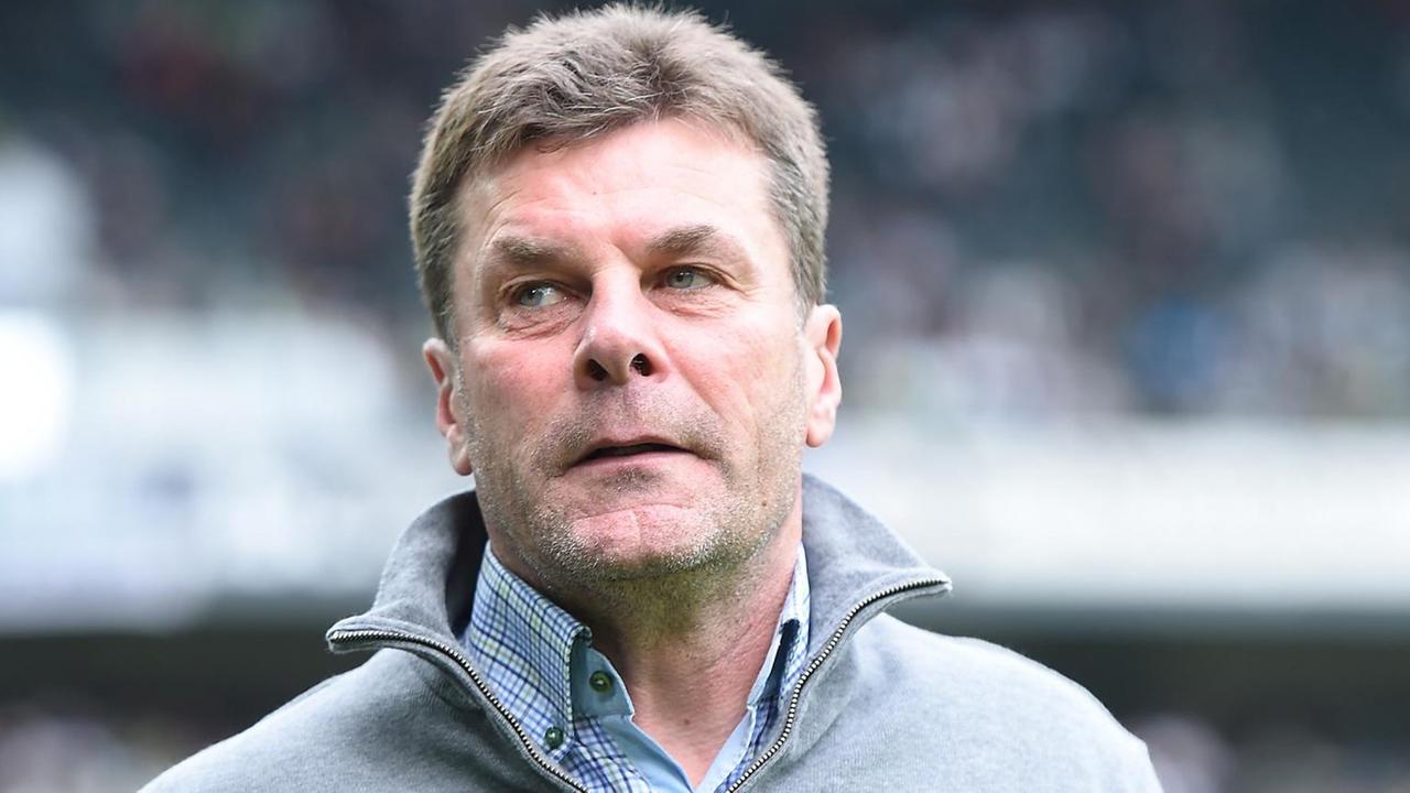Dieter Hecking am Spielfeldrand Dieter Hecking am Spielfeldrand