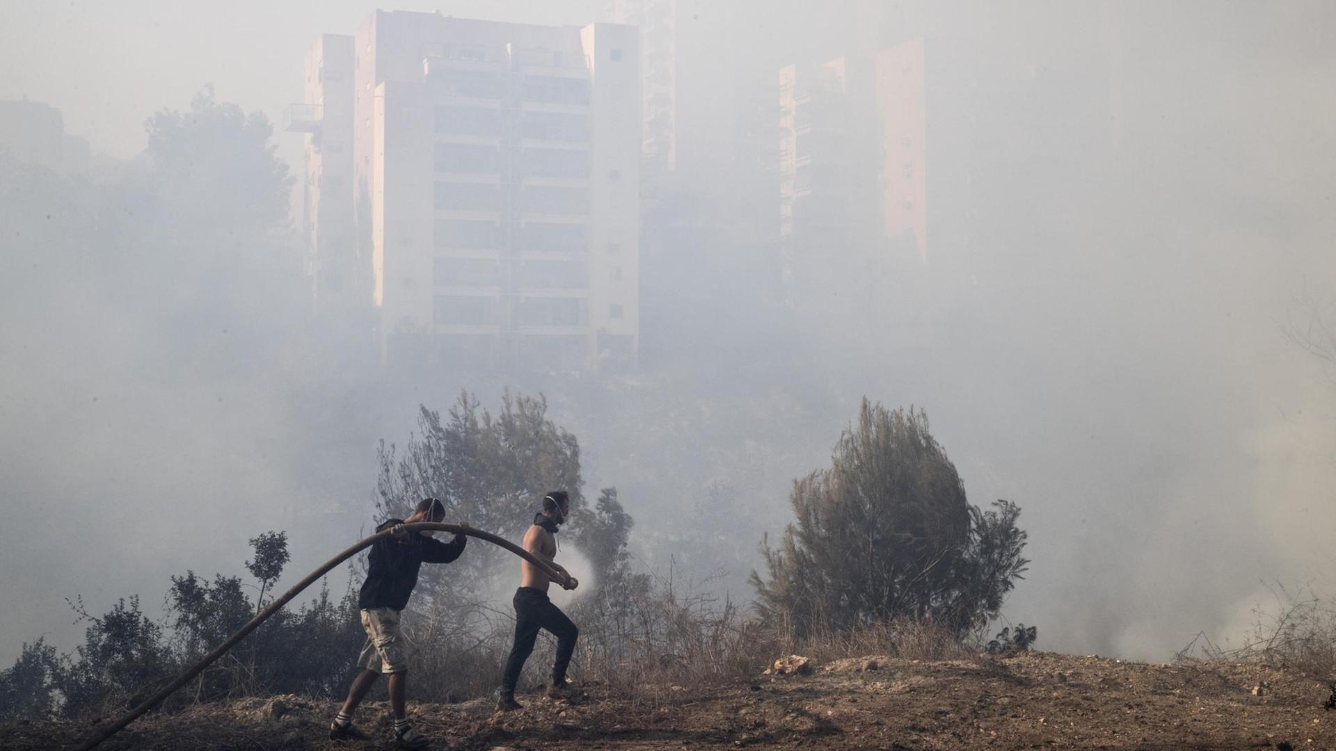 Freiwillige helfen das Feuer in der nordisraelischen Stadt Haifa zu bekämpfen. Freiwillige helfen das Feuer in der nordisraelischen Stadt Haifa zu bekämpfen.