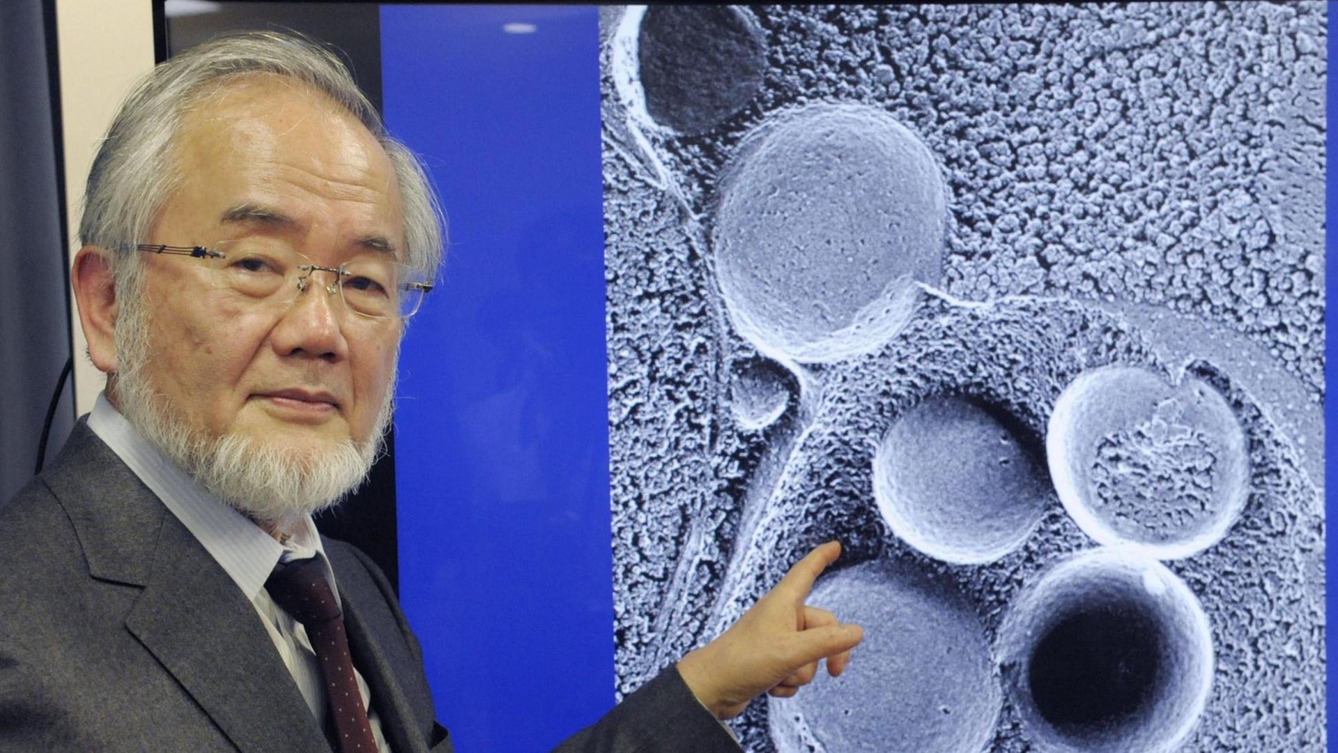 Yoshinori Osumi bekam 2016 den Nobelpreis für Medizin/Physiologie für seine Beschreibung der Funktionsweise der Autophagie Yoshinori Osumi bekam 2016 den Nobelpreis für Medizin/Physiologie für seine Beschreibung der Funktionsweise der Autophagie