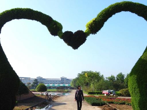 Pflanzenskulpturen formen ein Herz in einem Park in China